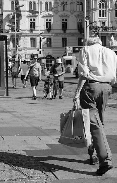 pexels-photo-33081465
